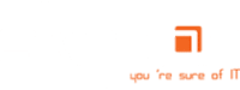 Logo Skydoo